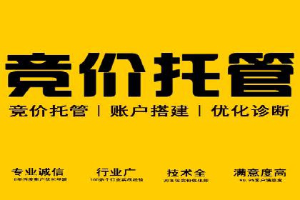 成功案例：SEM代运营服务公司提升品牌曝光度